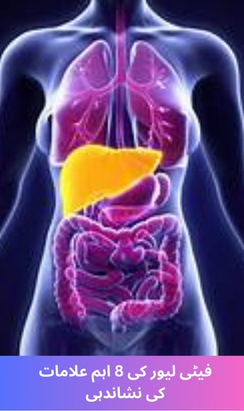 Identifying the 8 main symptoms of fatty liver